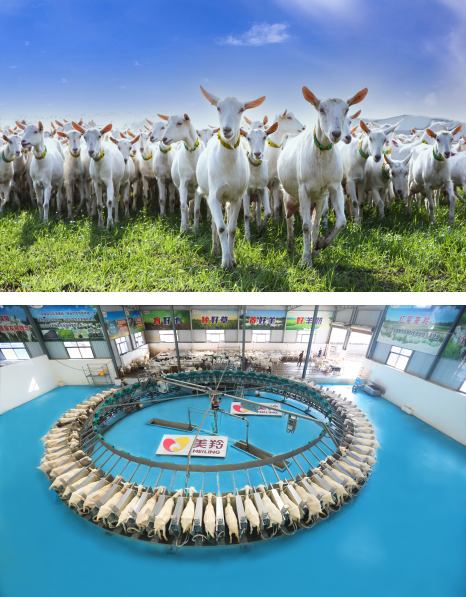 67381cm¶¥¼¶ÓÎÏ·