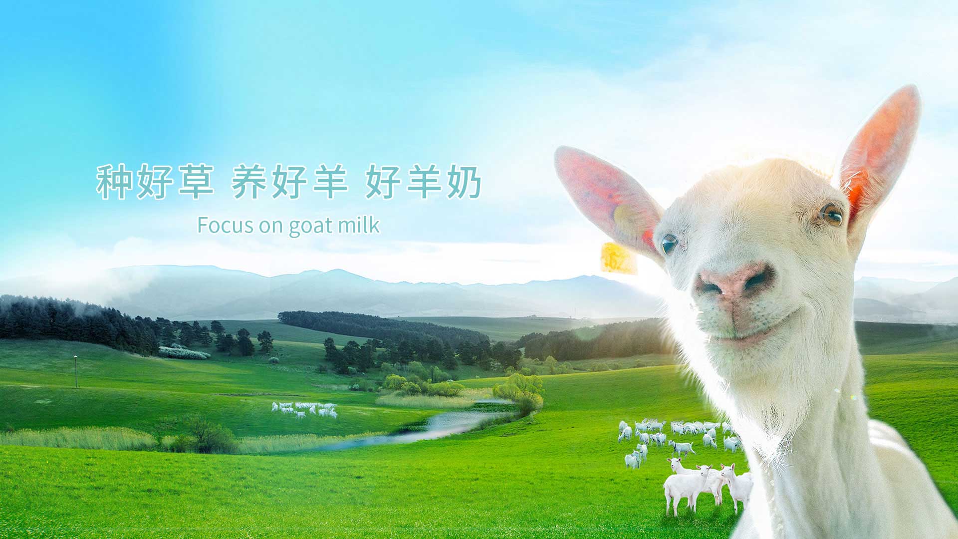 ���羭��ѭ����ҵ԰