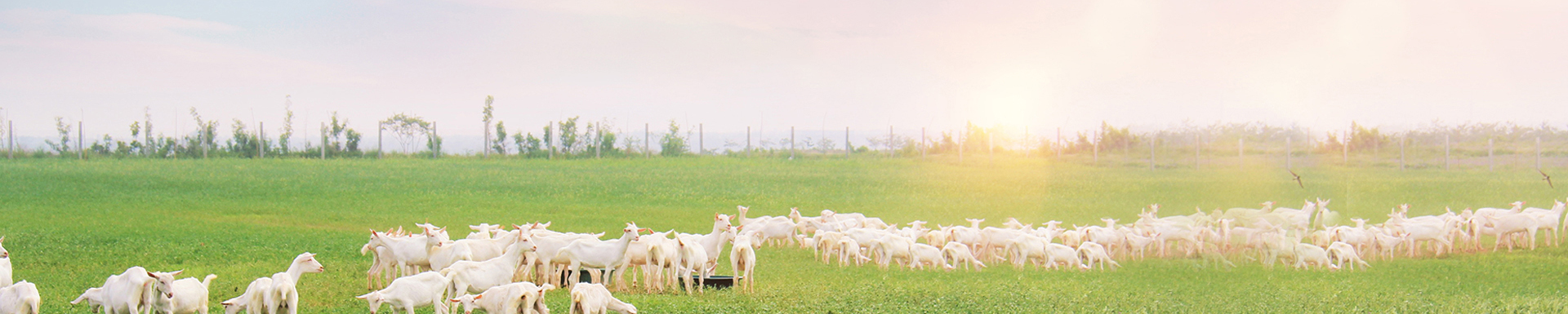 67381cm������Ϸ