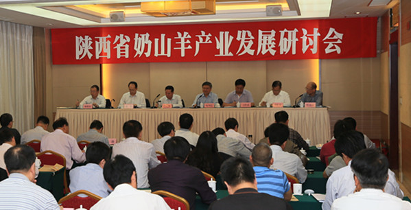 67381cm¶¥¼¶ÓÎÏ·