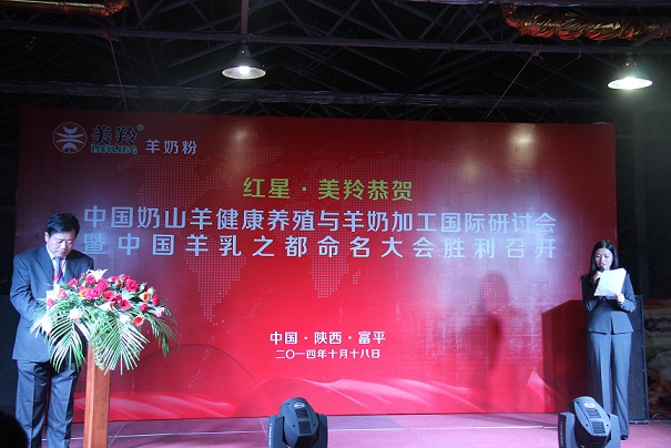 67381cm������Ϸ