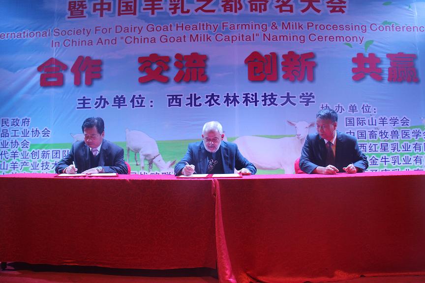 67381cm������Ϸ