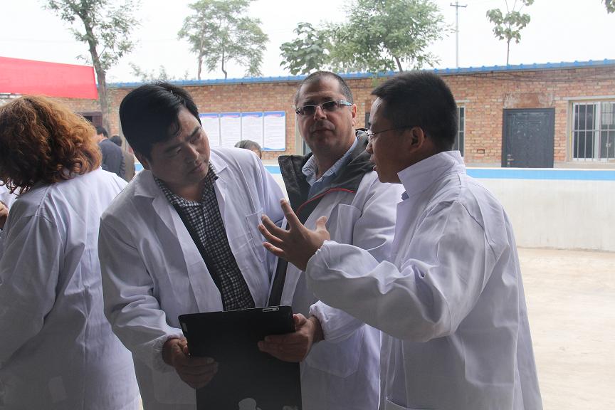 67381cm������Ϸ