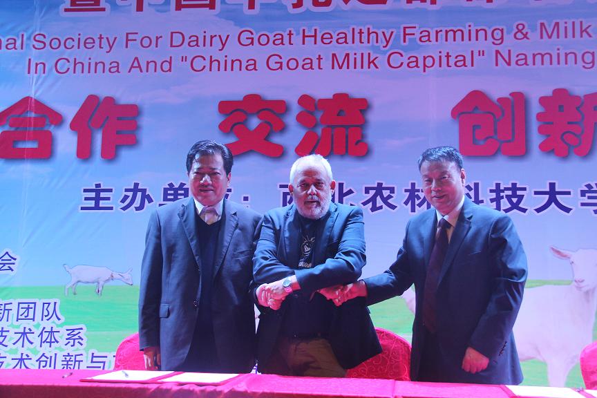 67381cm������Ϸ