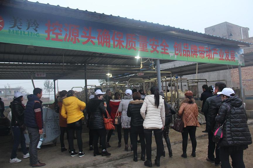 67381cm������Ϸ