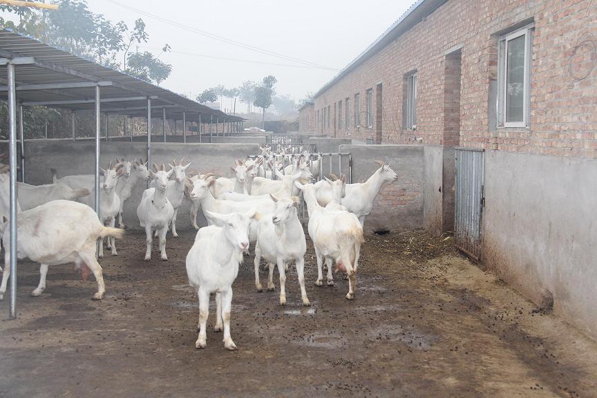 67381cm¶¥¼¶ÓÎÏ·