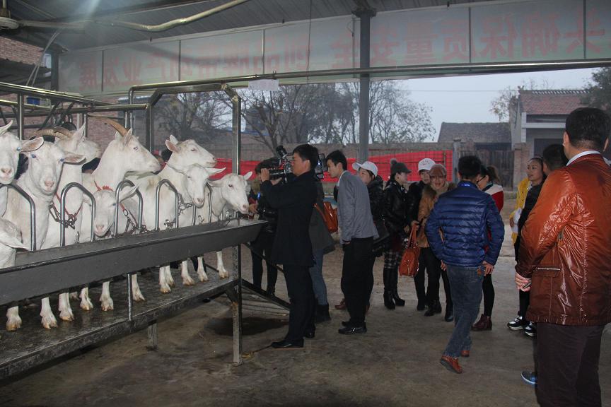 67381cm¶¥¼¶ÓÎÏ·