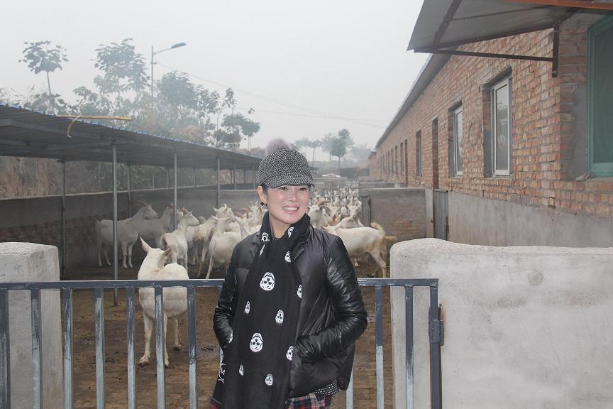 67381cm¶¥¼¶ÓÎÏ·