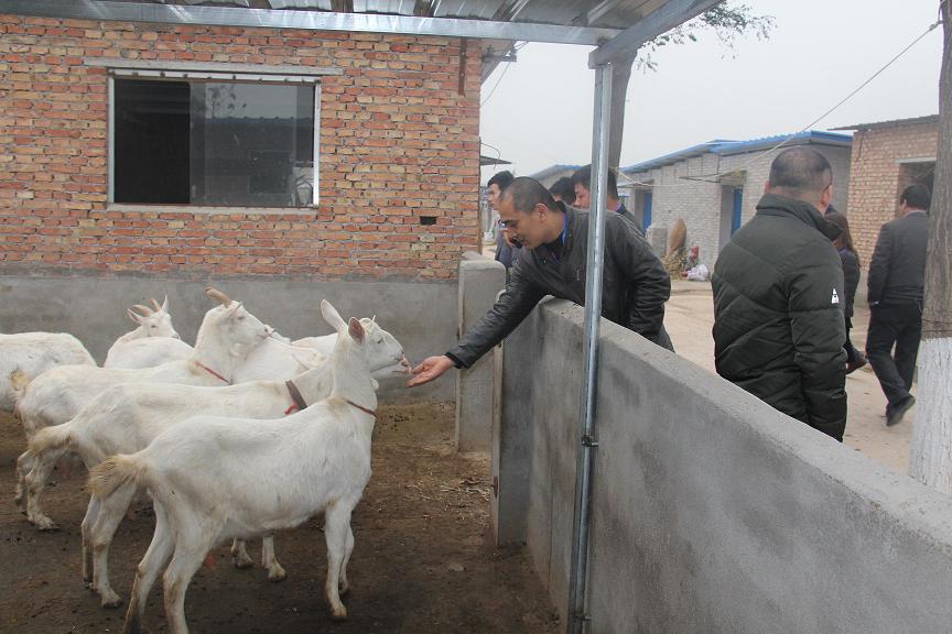 67381cm¶¥¼¶ÓÎÏ·