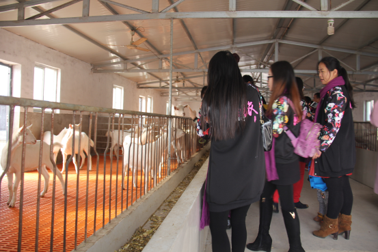 67381cm������Ϸ