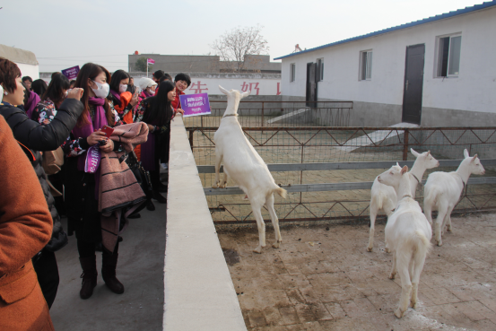 67381cm������Ϸ