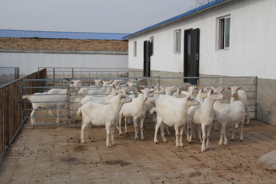 67381cm������Ϸ