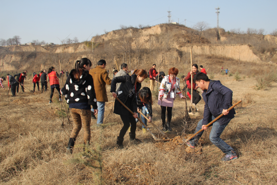 67381cm������Ϸ