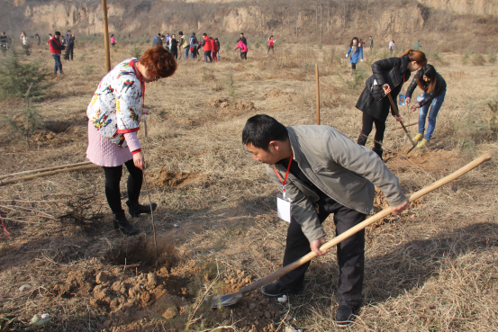 67381cm������Ϸ