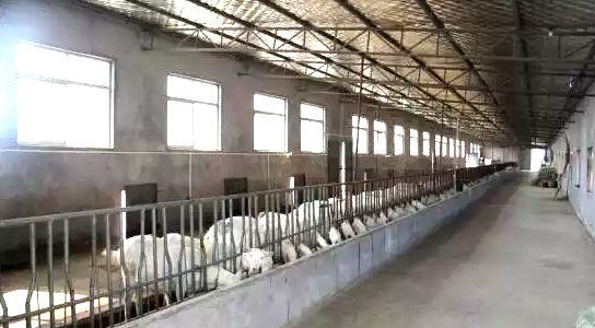 67381cm������Ϸ