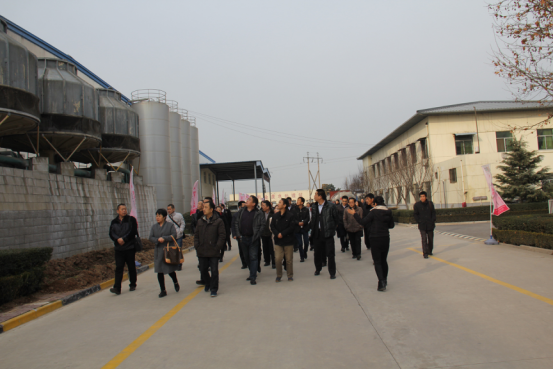 67381cm������Ϸ