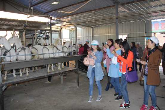 67381cm������Ϸ