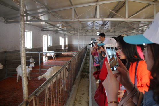 67381cm������Ϸ