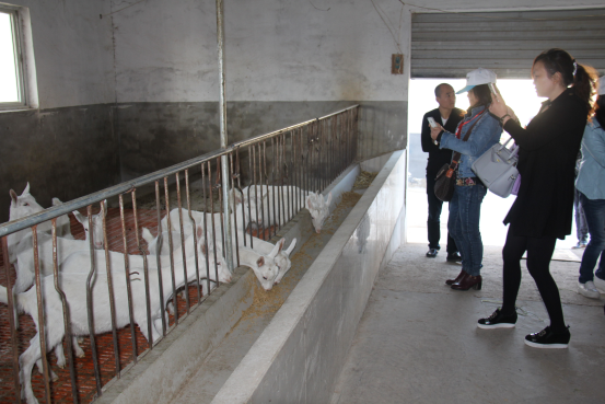 67381cm������Ϸ