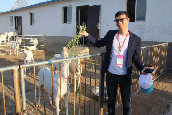 67381cm������Ϸ