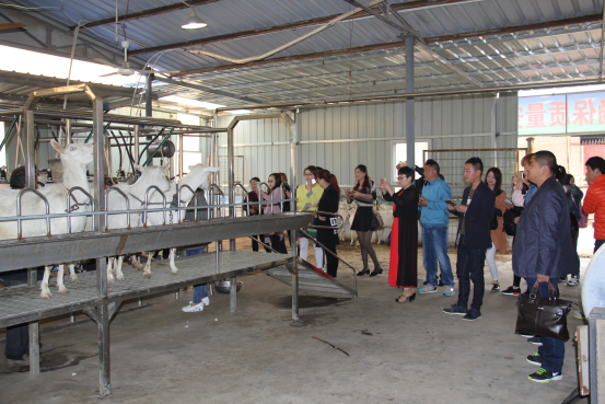 67381cm������Ϸ