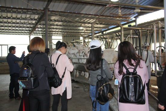 67381cm������Ϸ