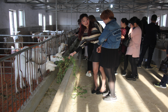 67381cm������Ϸ