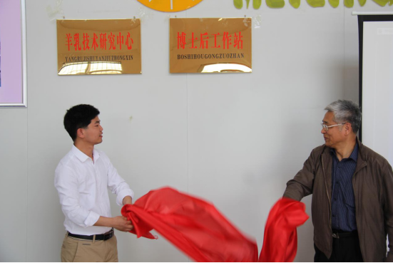 67381cm������Ϸ