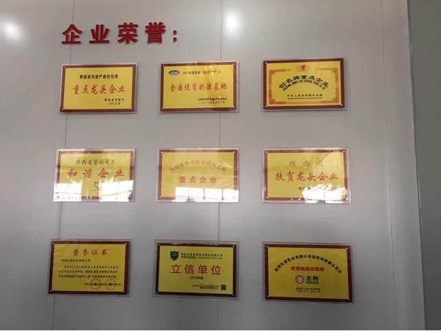 67381cm������Ϸ