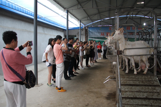 67381cm������Ϸ