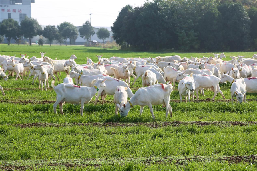 1683799245975874.jpg ͼƬ1.jpg