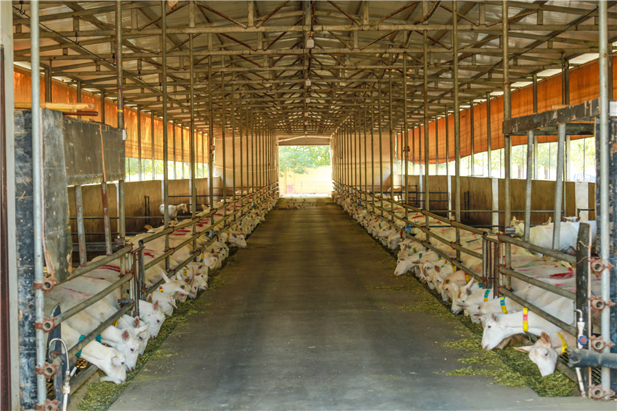 1683799260112967.jpg ͼƬ3.jpg