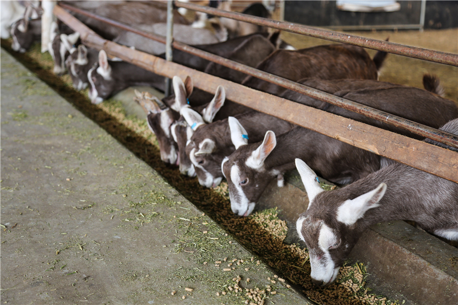 1683799279107570.jpg ͼƬ2.jpg