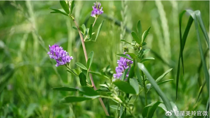 1709623572120359.png image.png