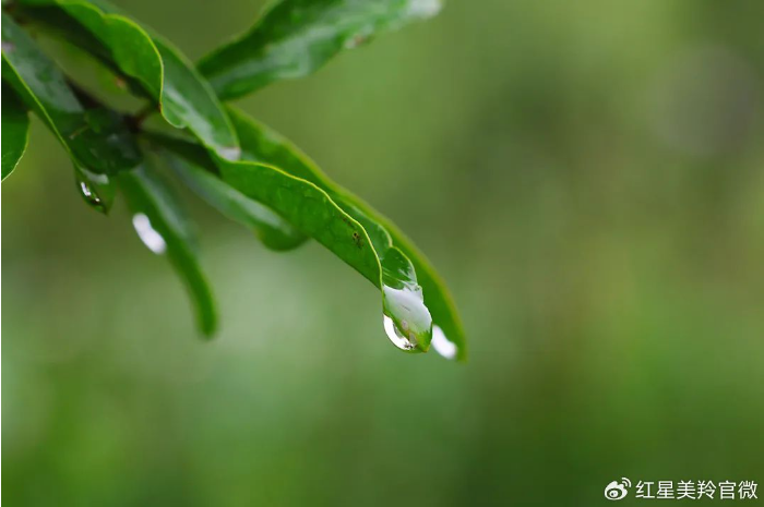 1709623583834902.png image.png