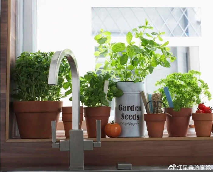 1709623604133394.png image.png