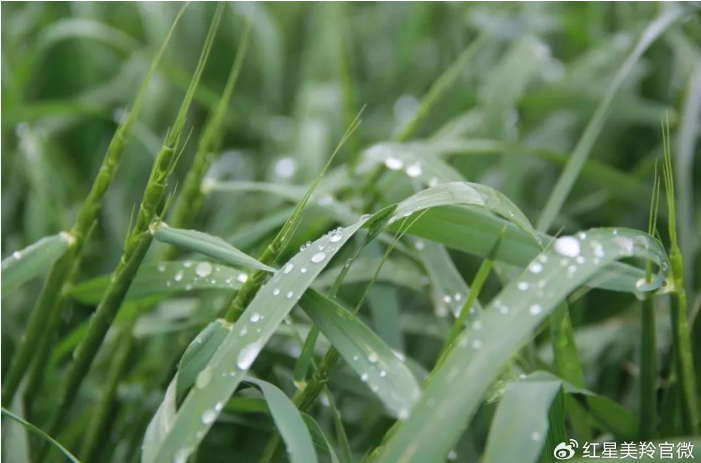 1710235227118509.png image.png