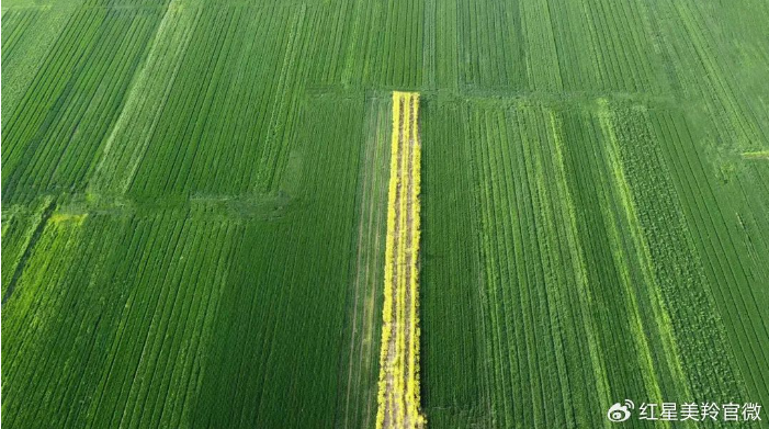 1710235249384144.png image.png