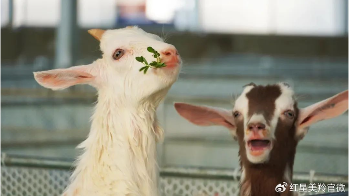 1710235290211027.png image.png