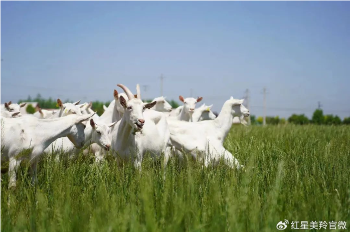 1710483095129882.png image.png