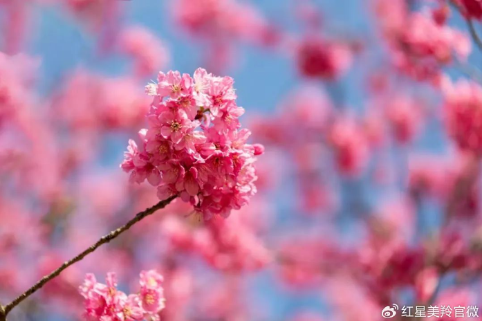 1710902902914511.png image.png