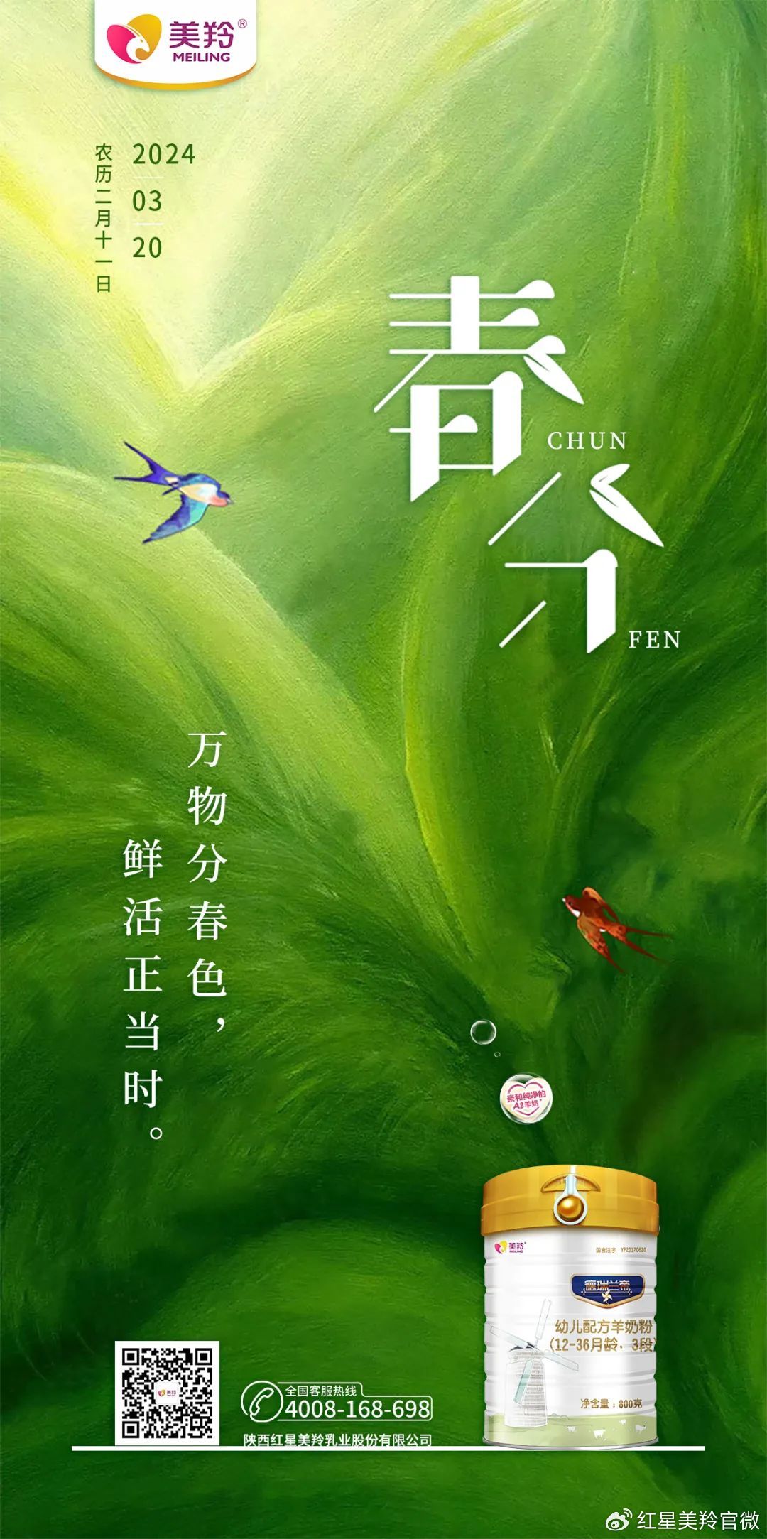 1710902939637042.jpg 1710902939637042.jpg