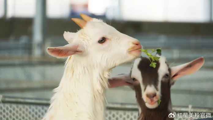 1710903000349461.png image.png