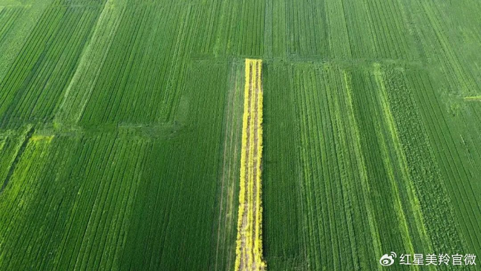 1710903027883786.png image.png