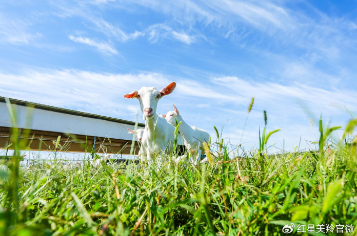 1710903042421238.png image.png