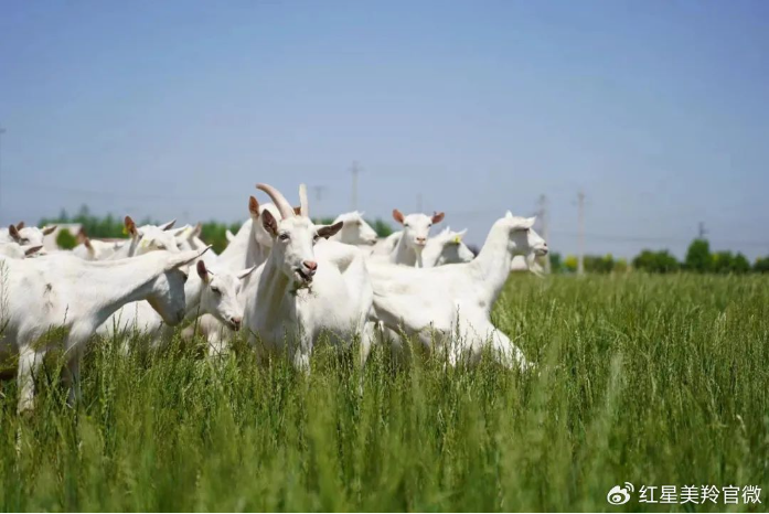 1710903053917007.png image.png