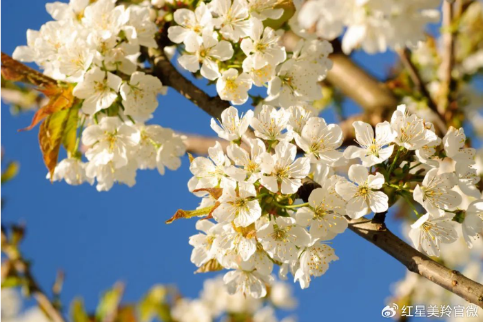 1712139908105173.png image.png