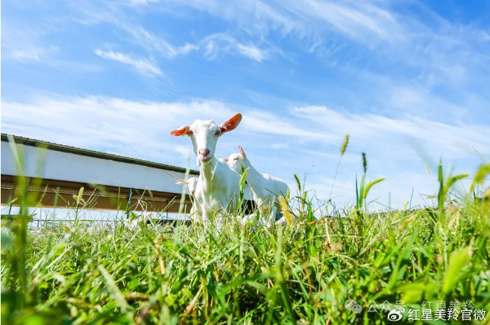 1713315307522147.png image.png