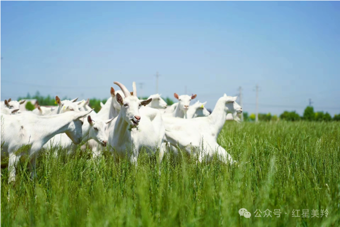 1713315352136832.png image.png