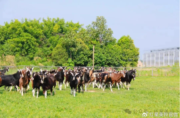 1713315477524342.png image.png